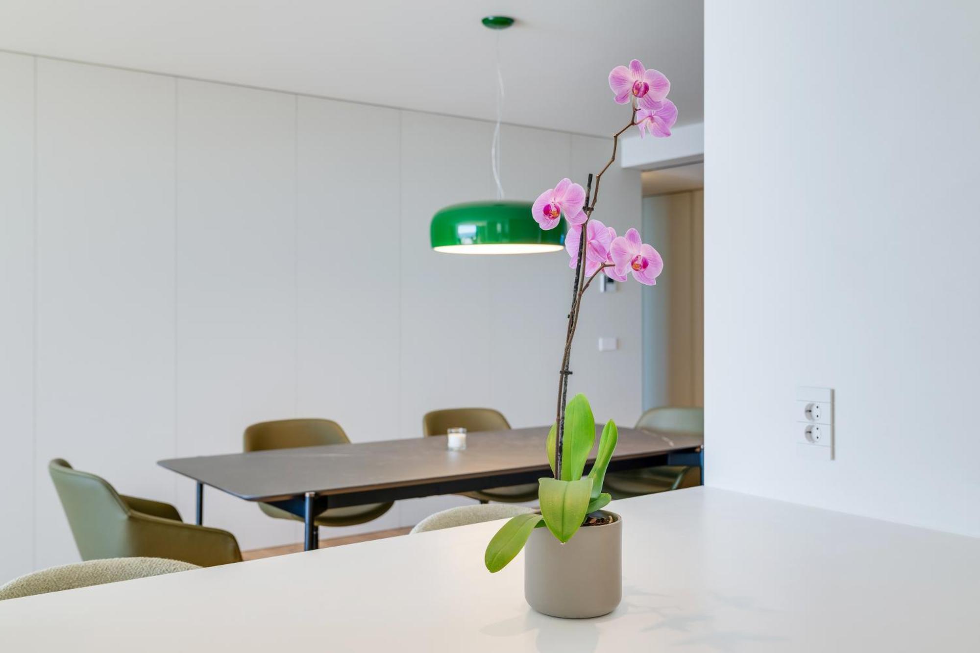 Apartamento Rjs Savoy Monumentalis *